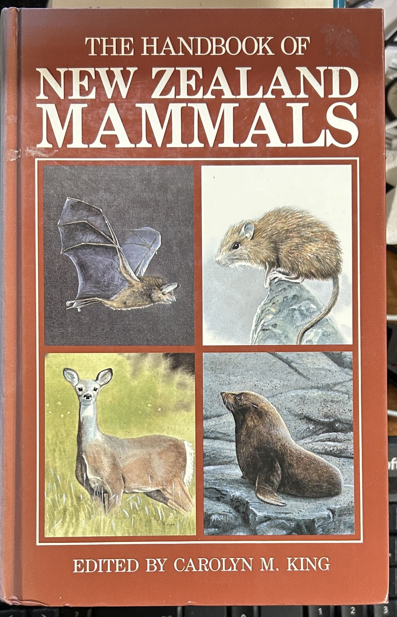 The Handbook of New Zealand Mammals