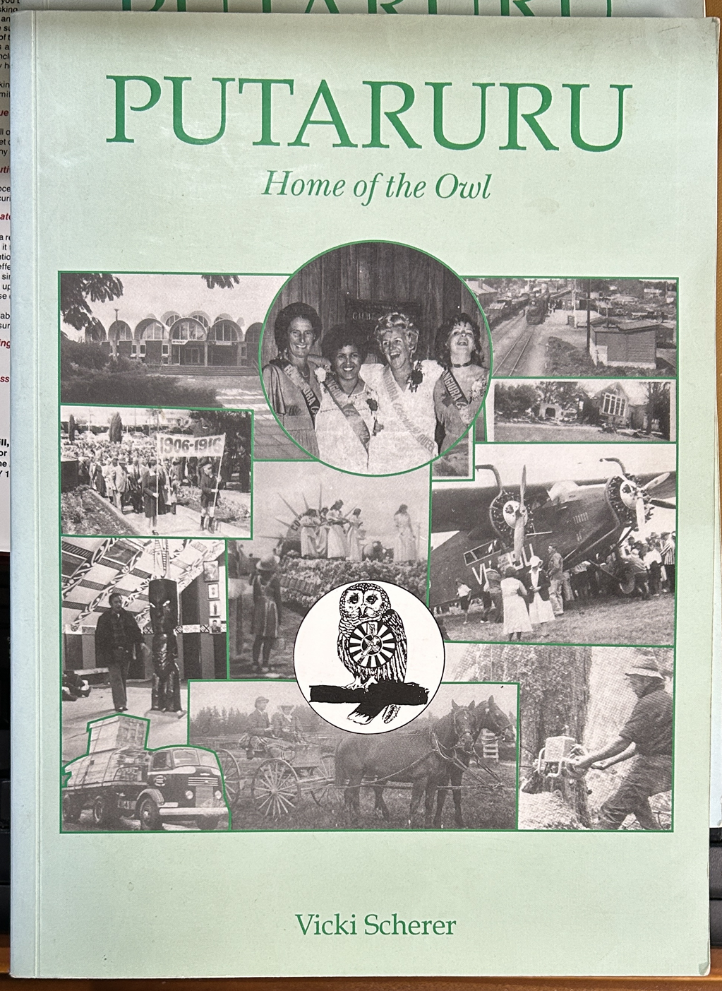 Putaruru Home of the Owl by Vicki Scherer
