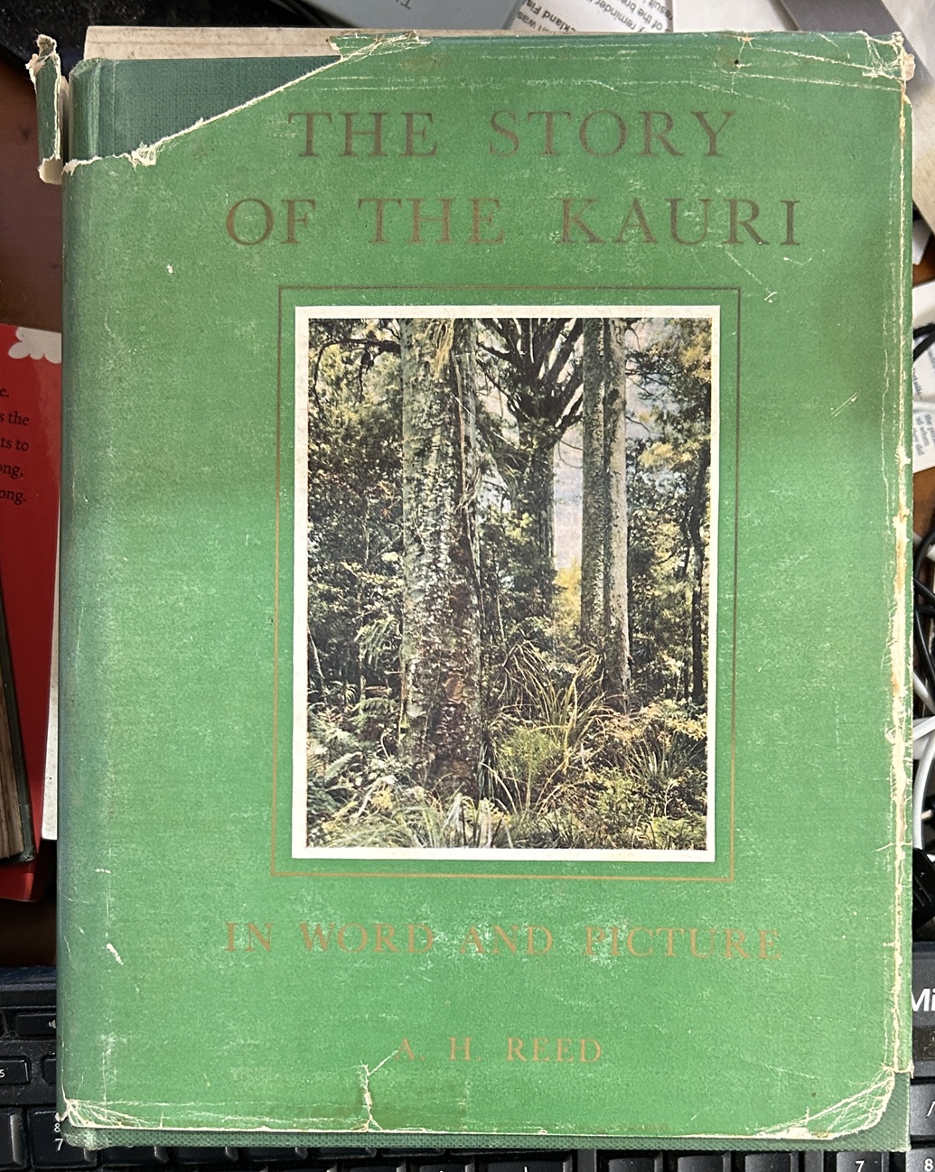 The Story of the Kauri in Word and Picture by A. H. Reed Signed