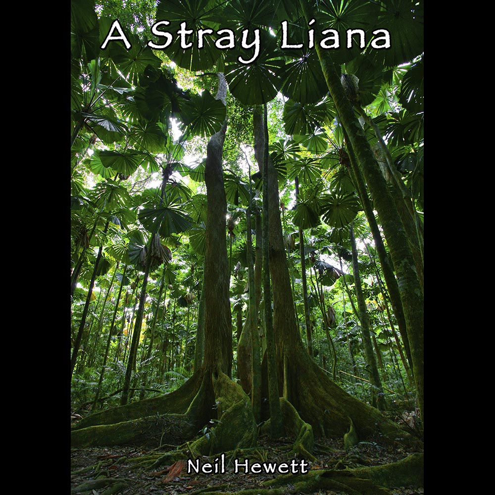 A Stray Liana by Neil Hewett