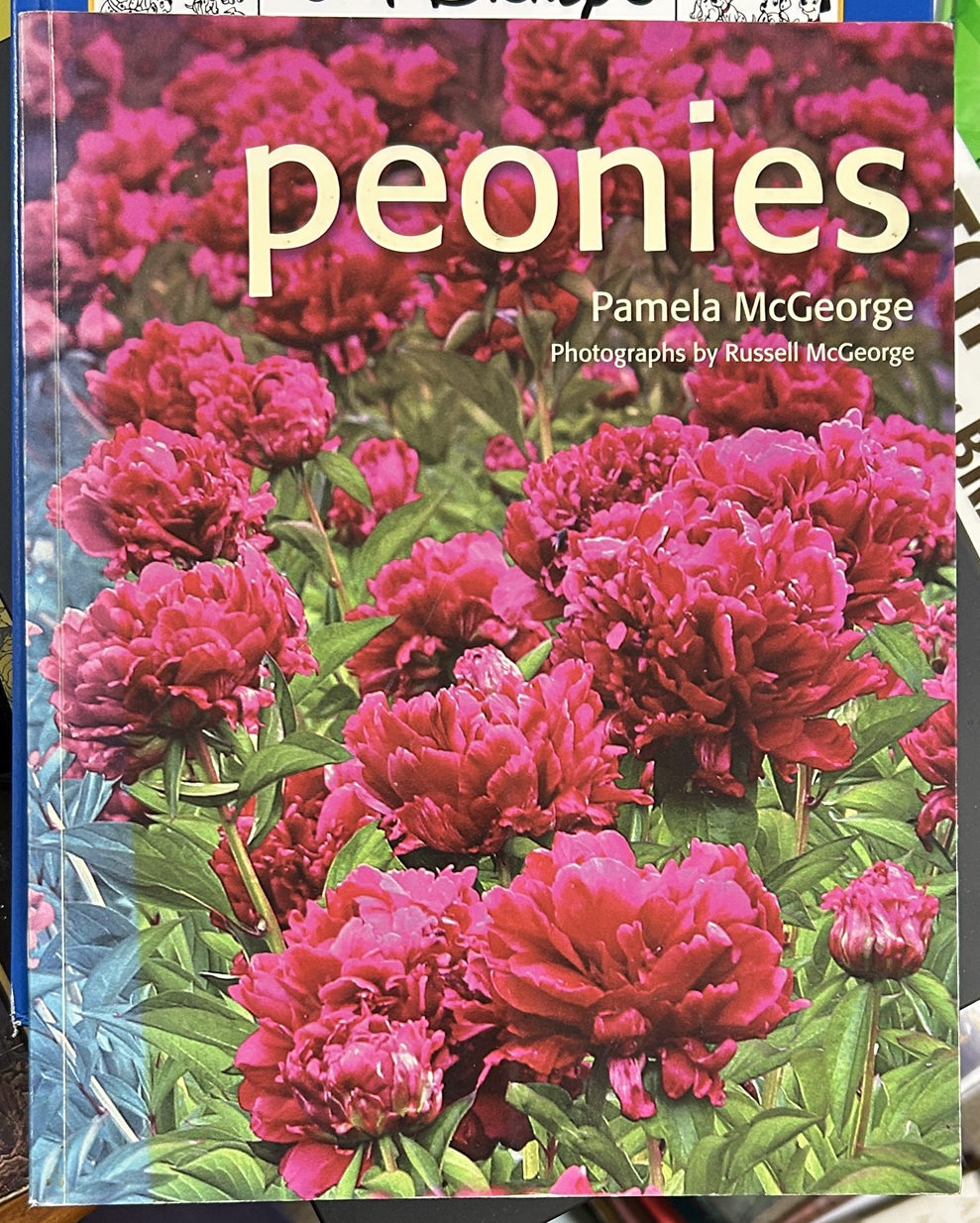 Peonies By Pamela McGeorge, Photographs by Russell McGeorge