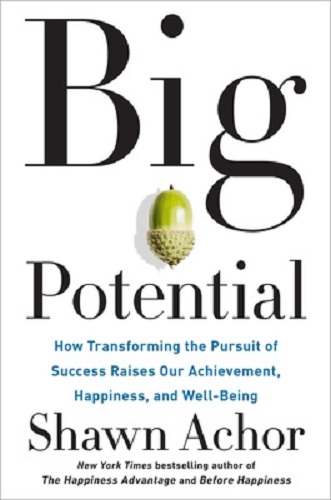 Big Potential How Transforming the Pursuit of Success Raises Our Achievement, Happiness, and Well-Being