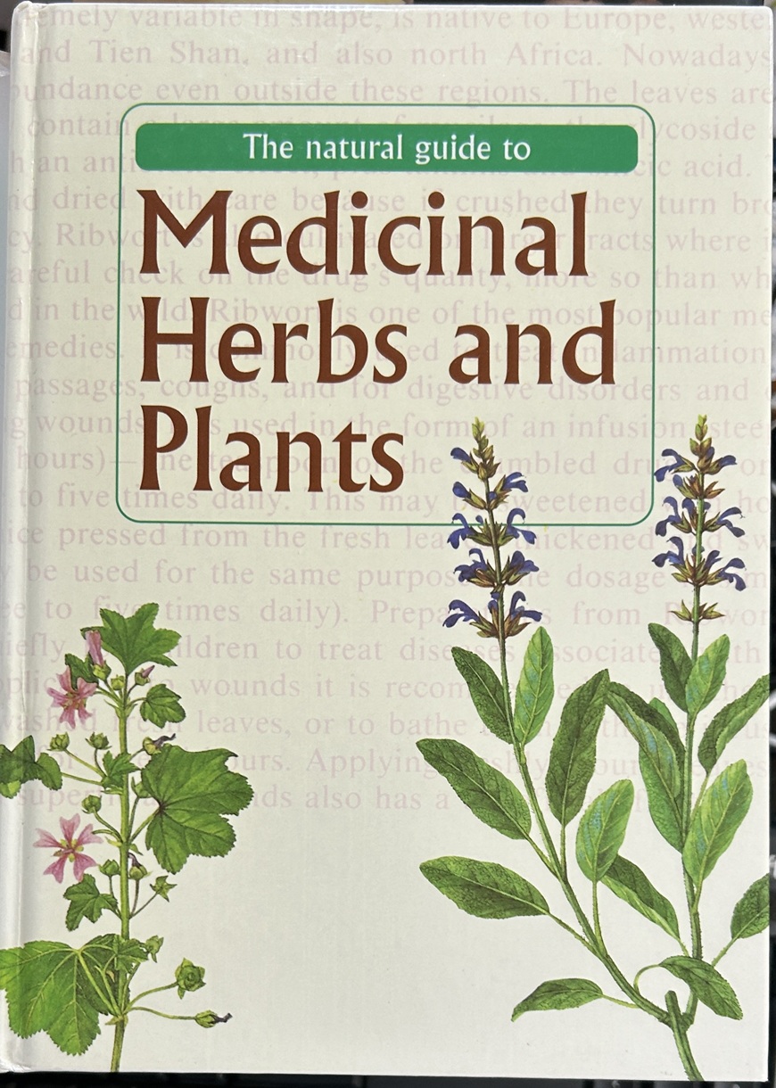 The Natural Guide to Medicinal Herbs and Plants