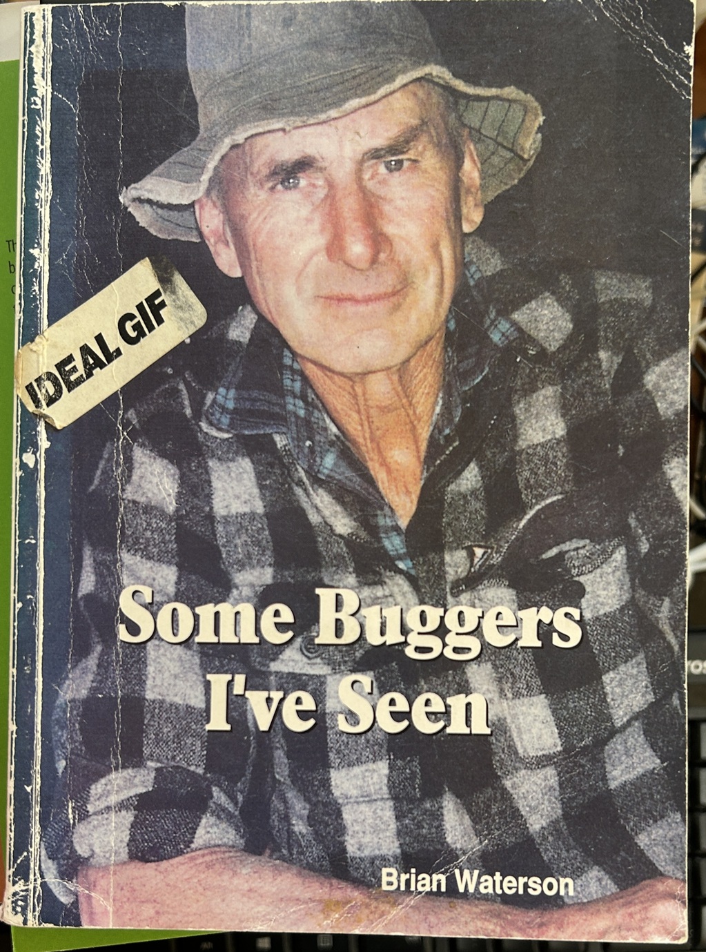 Some Buggers I've Seen By Brian Waterson