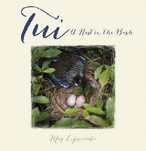 Tui: A Nest in the Bush