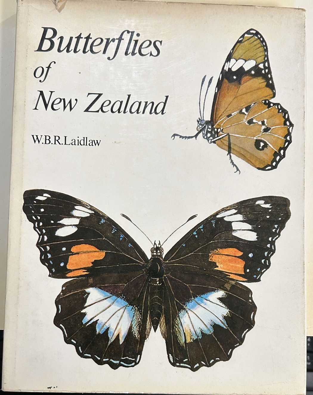 Butterflies of New Zealand