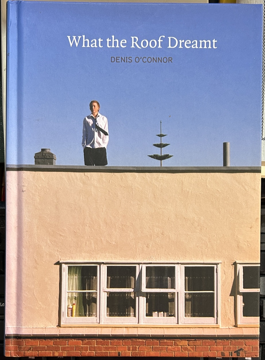 What the Roof Dreamt by Denis O'Connor