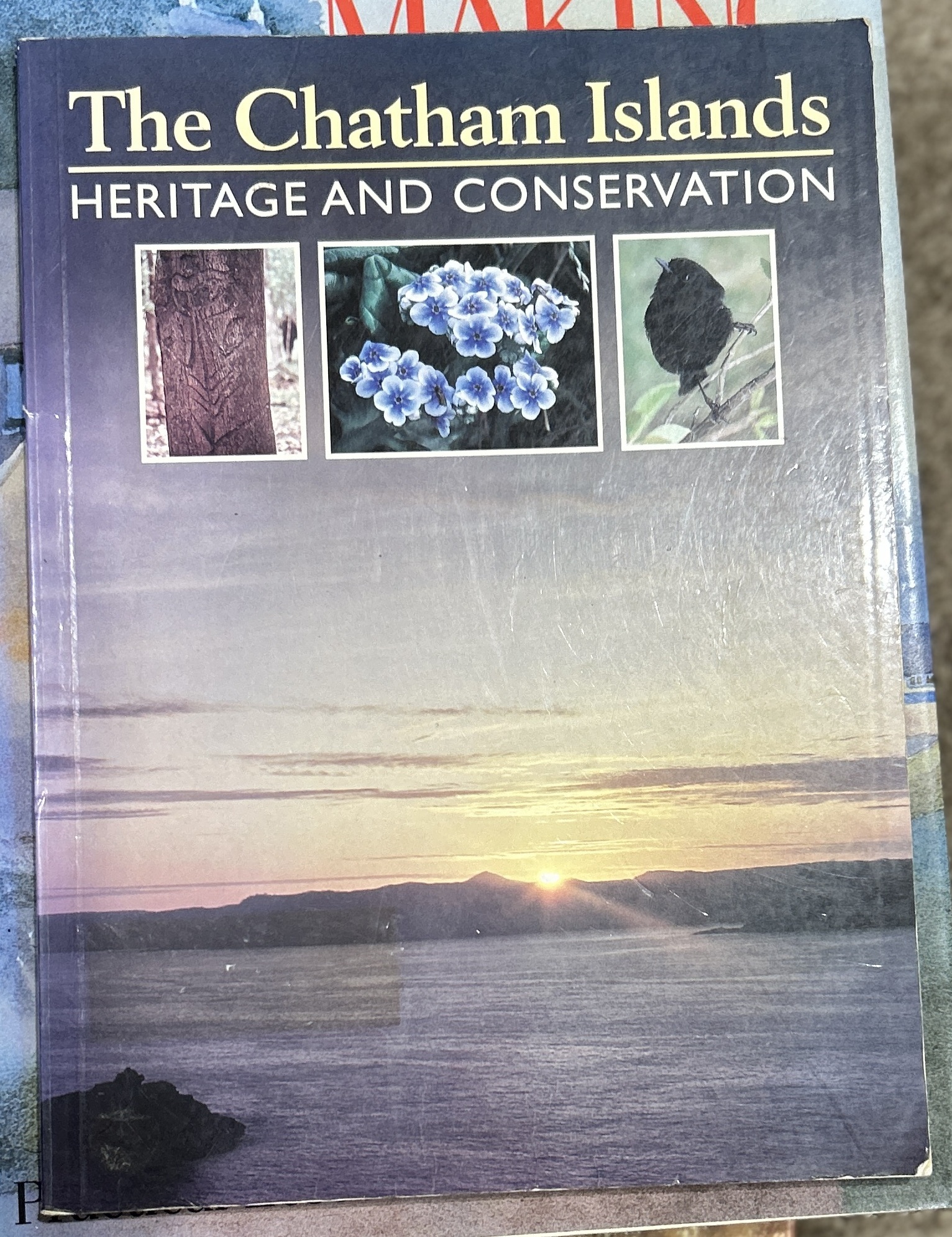 The Chatham Islands: The Heritage & Conservation