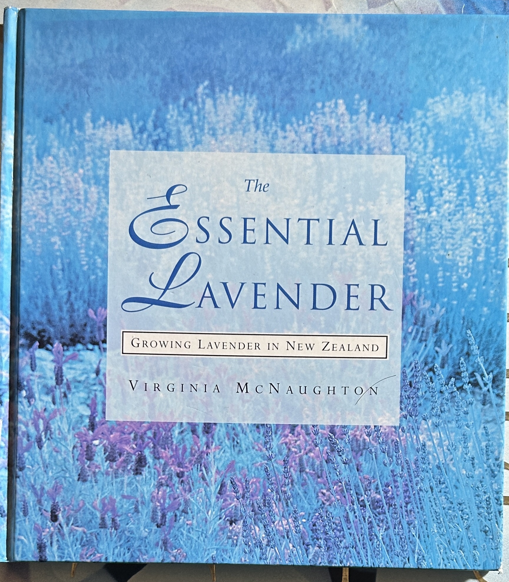The Essential lavender Growing lavender in New Zealand